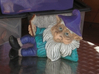 Gnome Reading