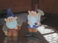 Gnomes