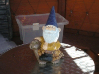 Gnome on Tortoise